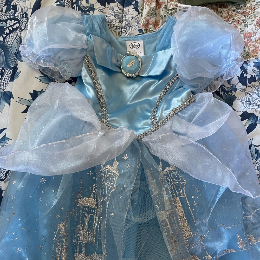 NEVER WORN Disney 2T Cinderella Princess dress